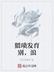 猥琐发育别，浪