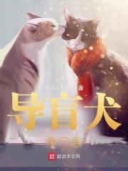 导盲犬的一生