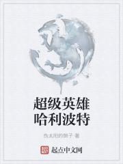 我是哈利波特