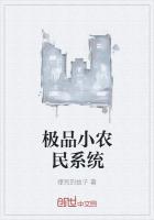 极品小农民系统