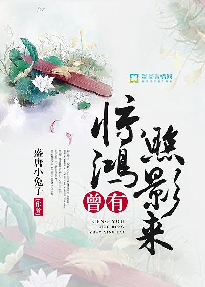 曾有惊鸿照影来