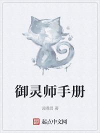 御灵师手册