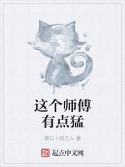 这个师傅有点猛